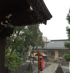 杉山神社：雨の例大祭